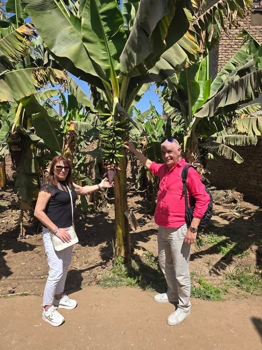 جانب من استمتاع السائحين وسط زراعات الموز بالجزيرة جانب من استمتاع السائحين وسط زراعات الموز بالجزيرة