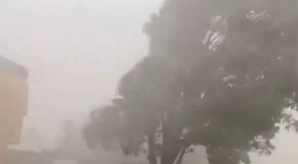 شاهد.. عاصفة تقتلع شجرة بمحايل عسير