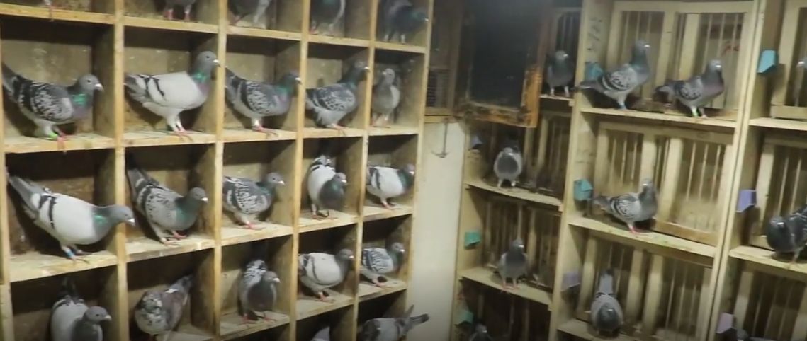 تخصيص أماكن مناسبة للحمام