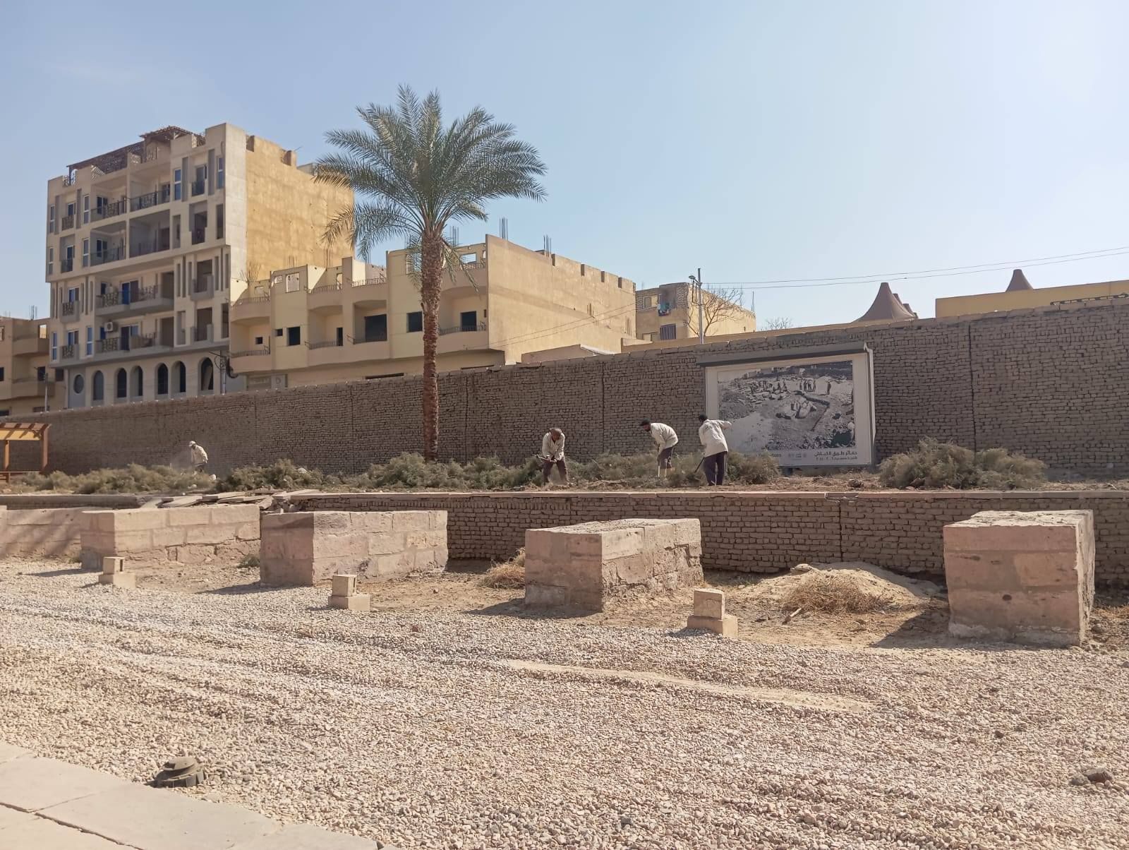 أعمال النظافة الدورية فى طريق الكباش الفرعونى بالأقصر أعمال النظافة الدورية فى طريق الكباش الفرعونى بالأقصر