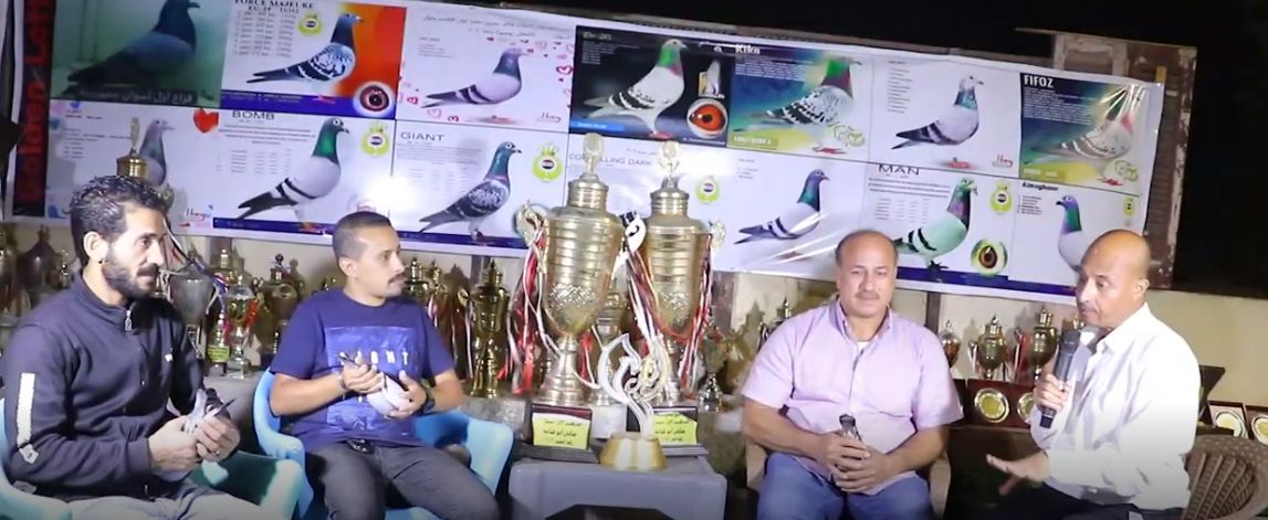 مراسل اليوم السابع مع هاني أبو شامه مربي الحمام وفريق عمله