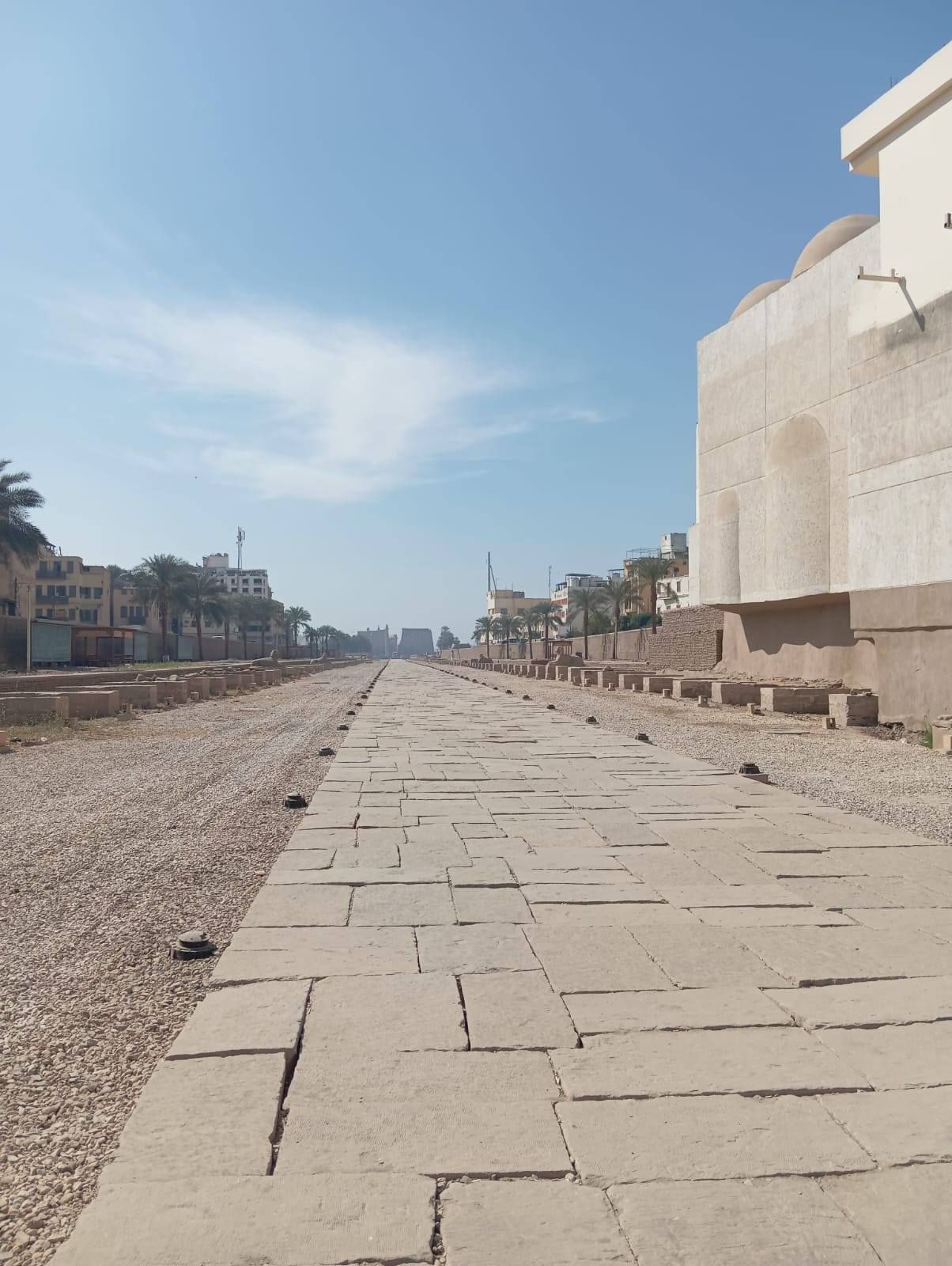 خضوع طريق الكباش لأعمال النظافة الدورية لخدمة حركة السياحة خضوع طريق الكباش لأعمال النظافة الدورية لخدمة حركة السياحة