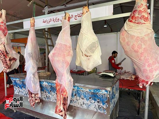 توفير اللحوم بمعرض السلع في المتحف الزراعي (2) توفير اللحوم بمعرض السلع في المتحف الزراعي (2)