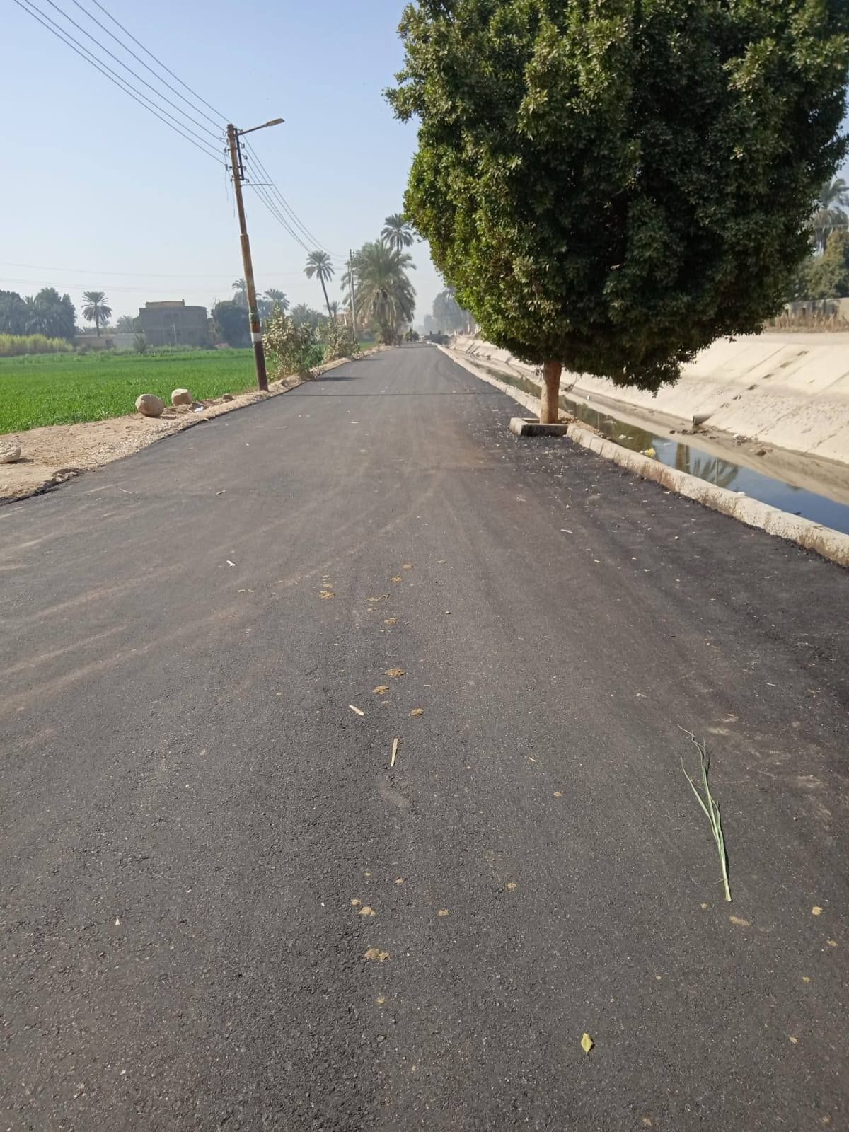 أعمال رفع مخلفات القصب الملقاة بالطرق بقرية العديسات بحرى