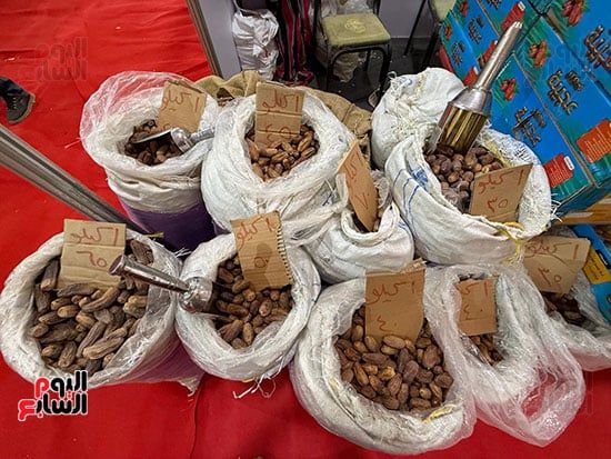 أصناف التمور والبلح بمعرض السلع في المتحف الزراعي أصناف التمور والبلح بمعرض السلع في المتحف الزراعي