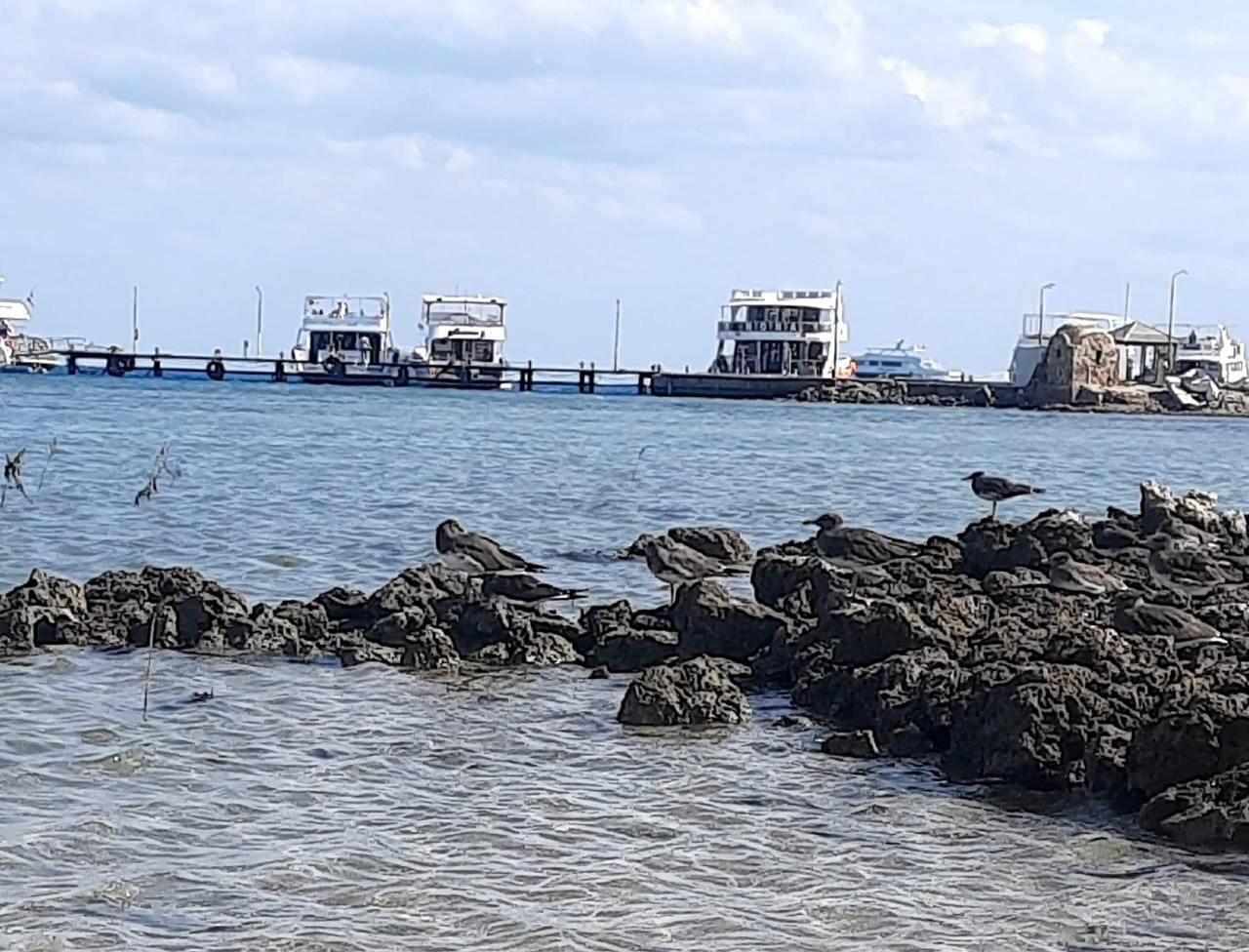 حماطه نقطة انطلاق اللنشات السياحية بالجنوب