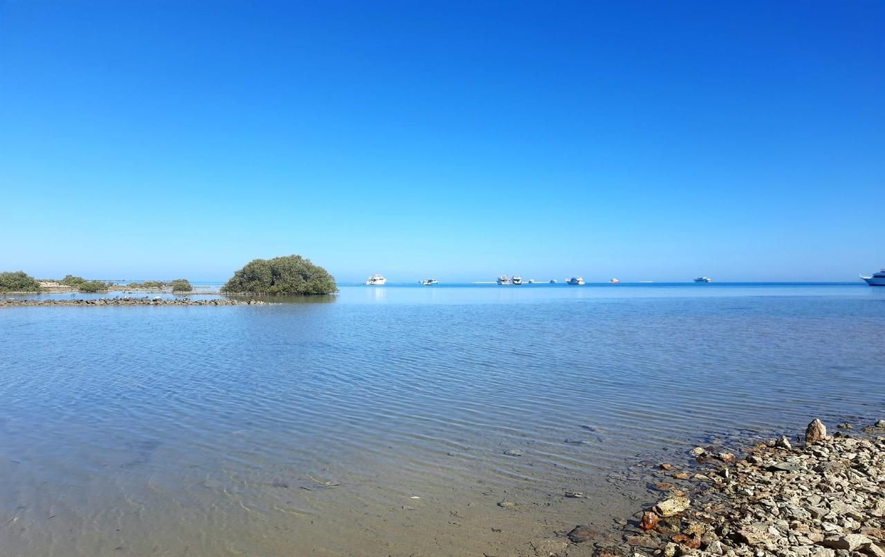 حماطه السحر الذى،لم يراه الكثير