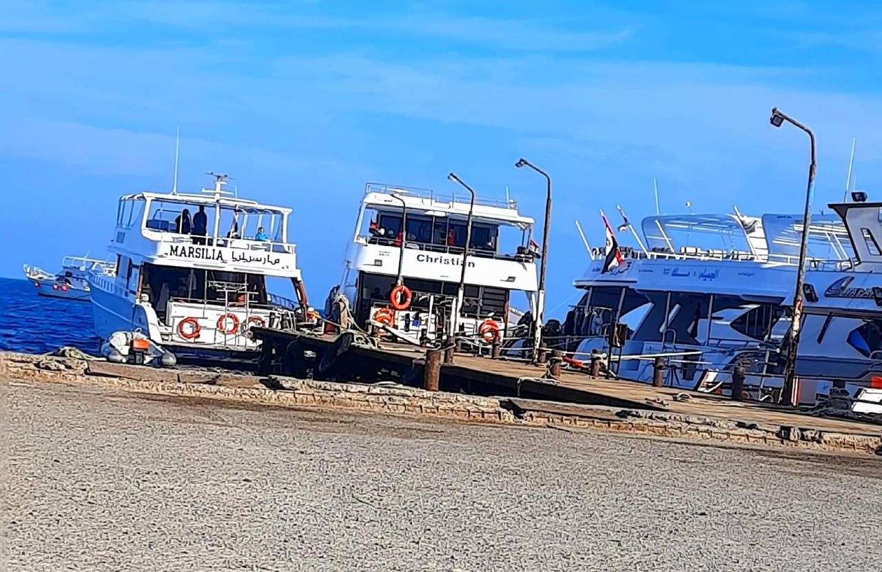 مارنيا حماطه