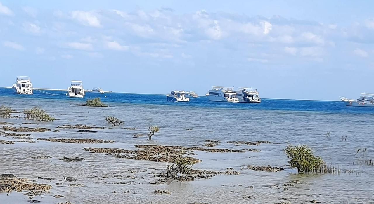 اللنشات السياحية بمارنيا حماطه