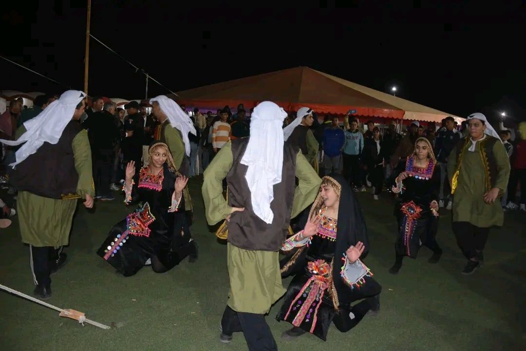 العروض الفنية العروض الفنية