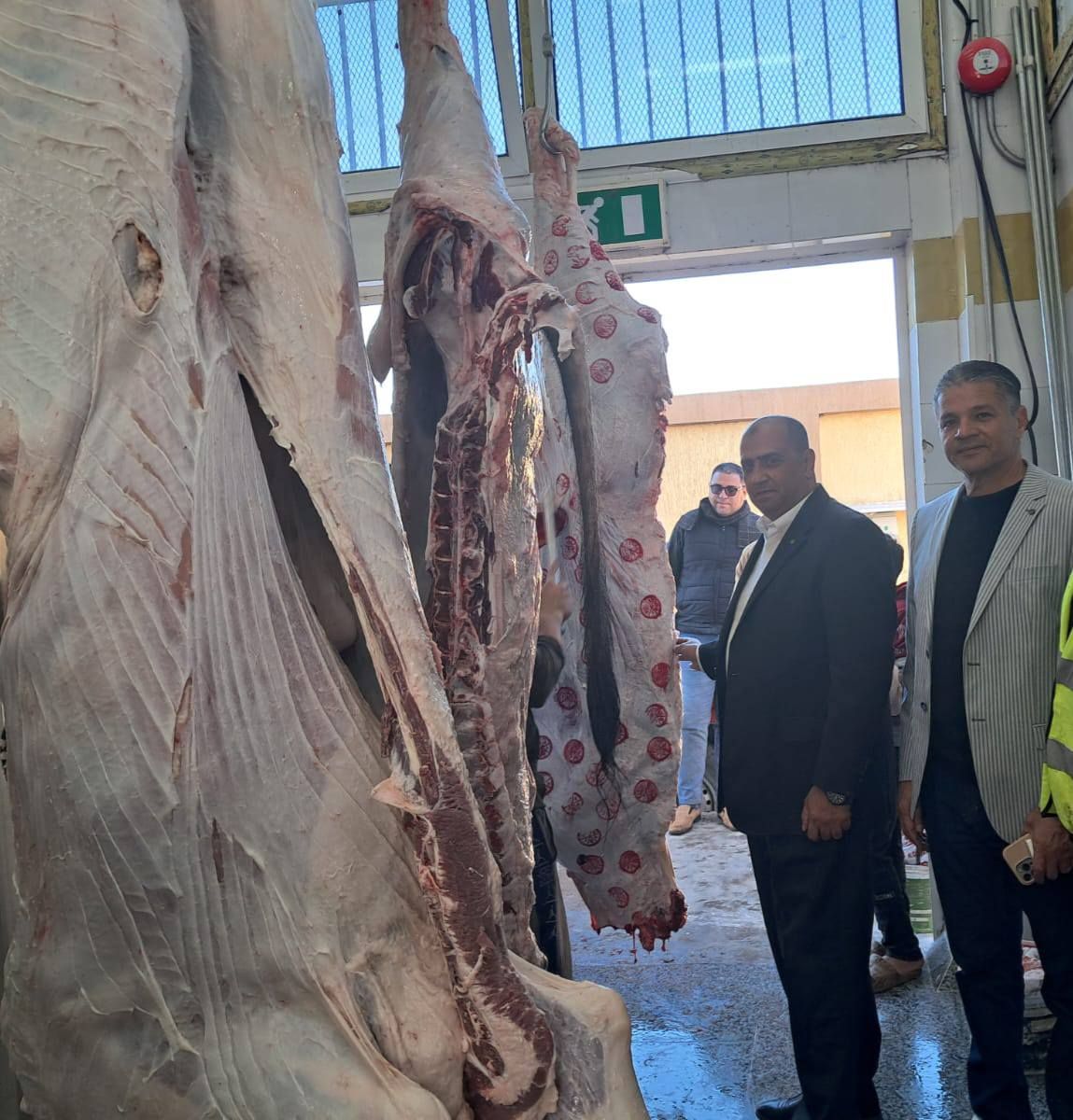 أول ذبائح بالمجزر عقب تشغيله التجريبي