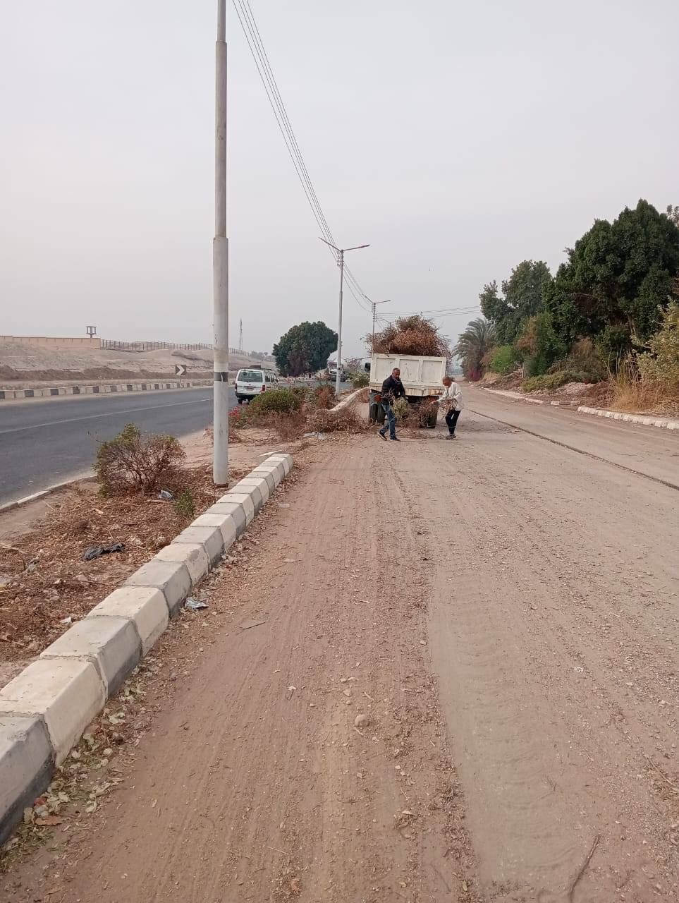 تركيب كشافات إنارة ونظافة الميادين ورفع المخلفات بقرية العديسات بحرى تركيب كشافات إنارة ونظافة الميادين ورفع المخلفات بقرية العديسات بحرى