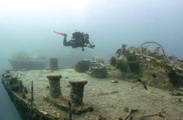 مواقع الغوص بالبحر الأحمر