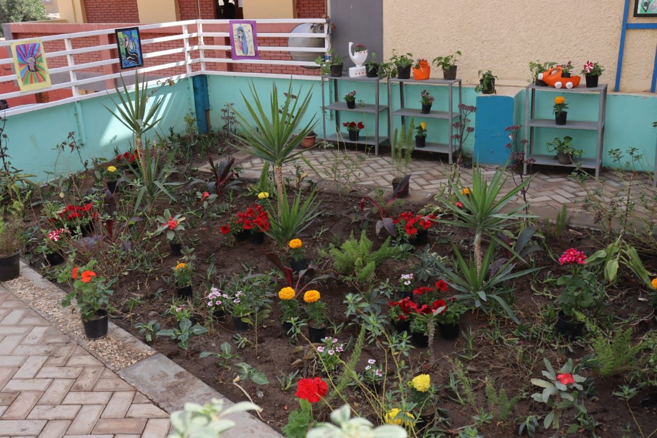 تنفيذ مبادرة الفصل الأخضر بمدارس القليوبية