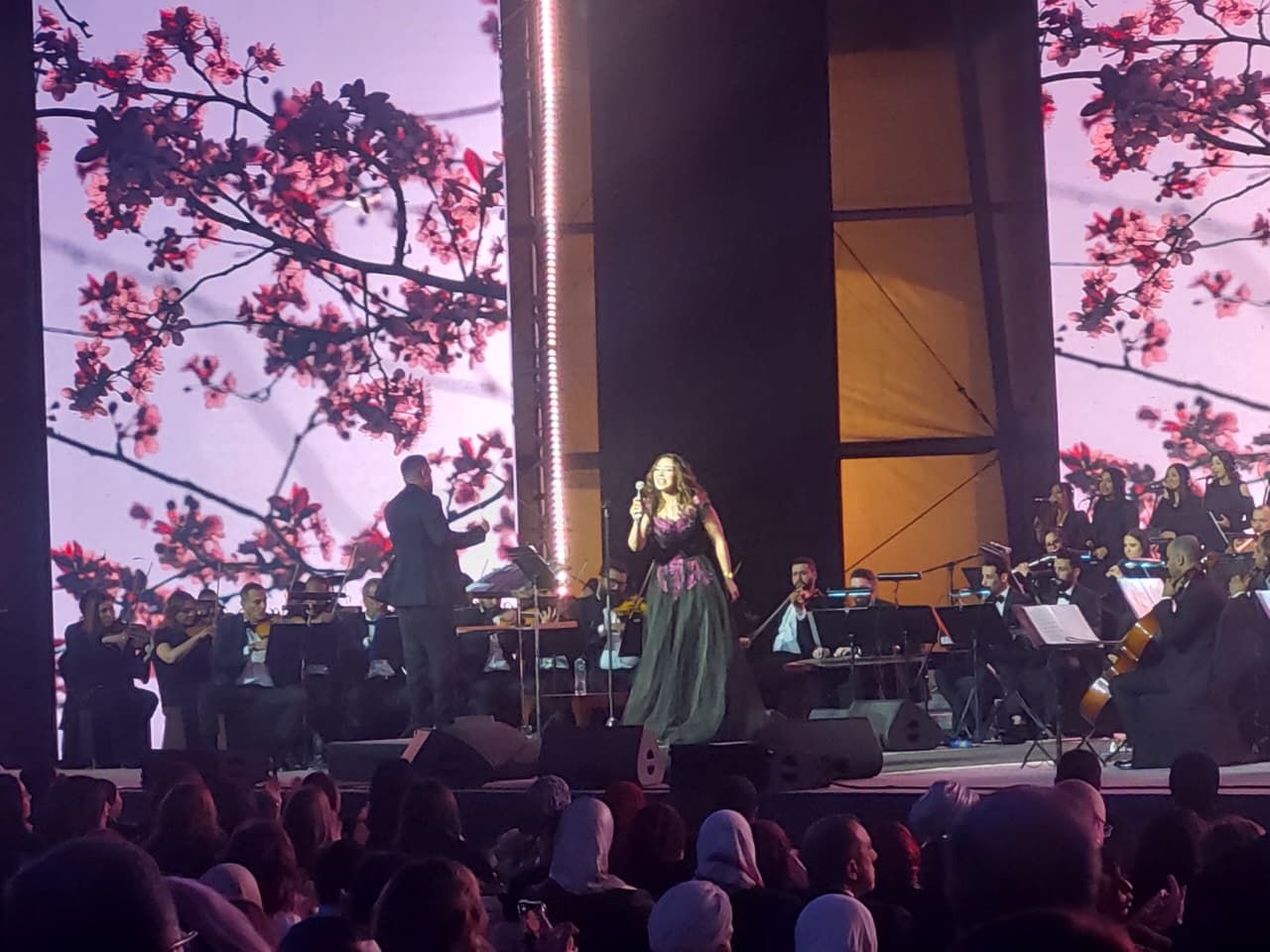 الفنانة أميرة أحمد