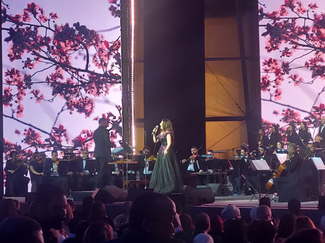 الفنانة أميرة