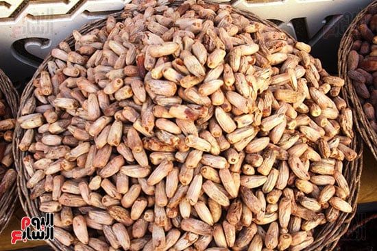 البلح-الأسوانى