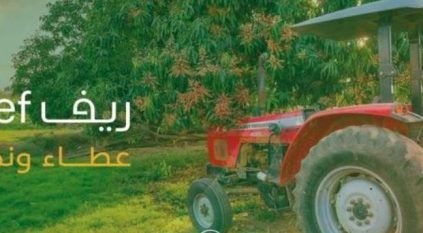 برنامج ريف: لا يمكن الحصول على الدعم حال التسجيل في التأمينات