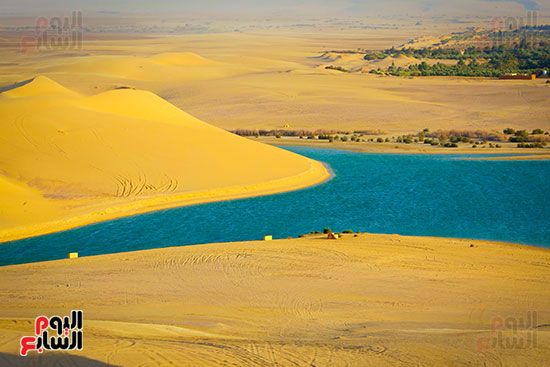لوحات بديعة من صنع الطبيعة.. جماليات المناظر الخلابة فى محافظة الفيوم (12) لوحات بديعة من صنع الطبيعة.. جماليات المناظر الخلابة فى محافظة الفيوم (12)