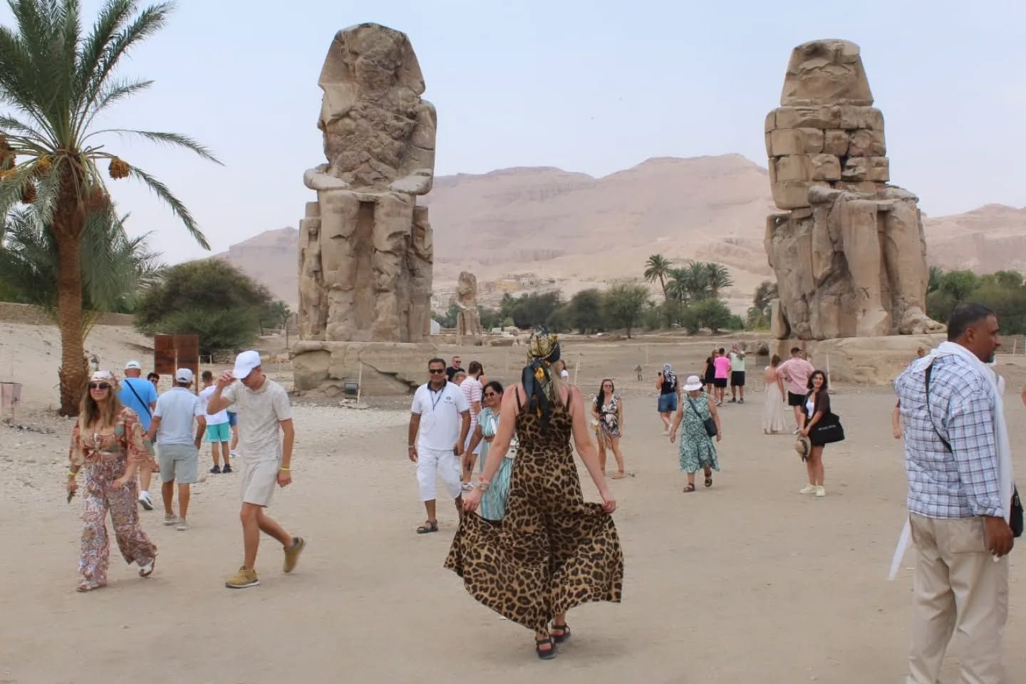 استمتاع الأجانب بزيارة تمثالى ممنون غرب الأقصر