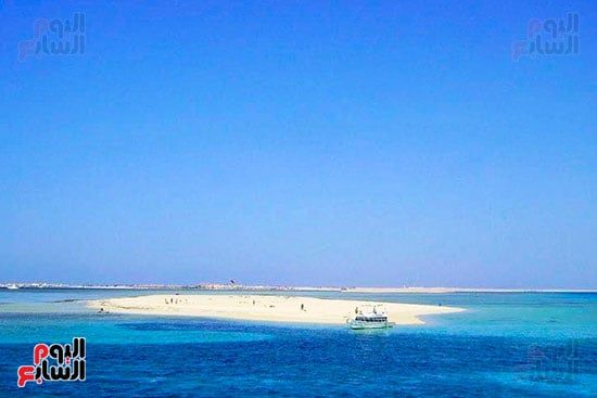 توبيا البيضاء أفضل وأجمل جزر البحر الأحمر
