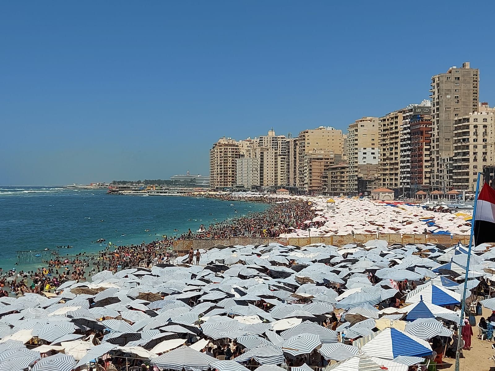 الشواطئ كامل العدد الشواطئ كامل العدد