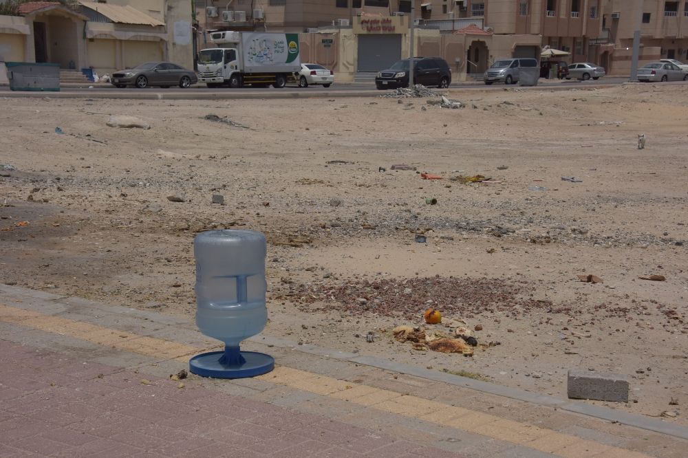 إطعام الحيوانات.. نوايا حسنة تشوه الأحياء ومطالب بمنصات تنظيمية - اليوم