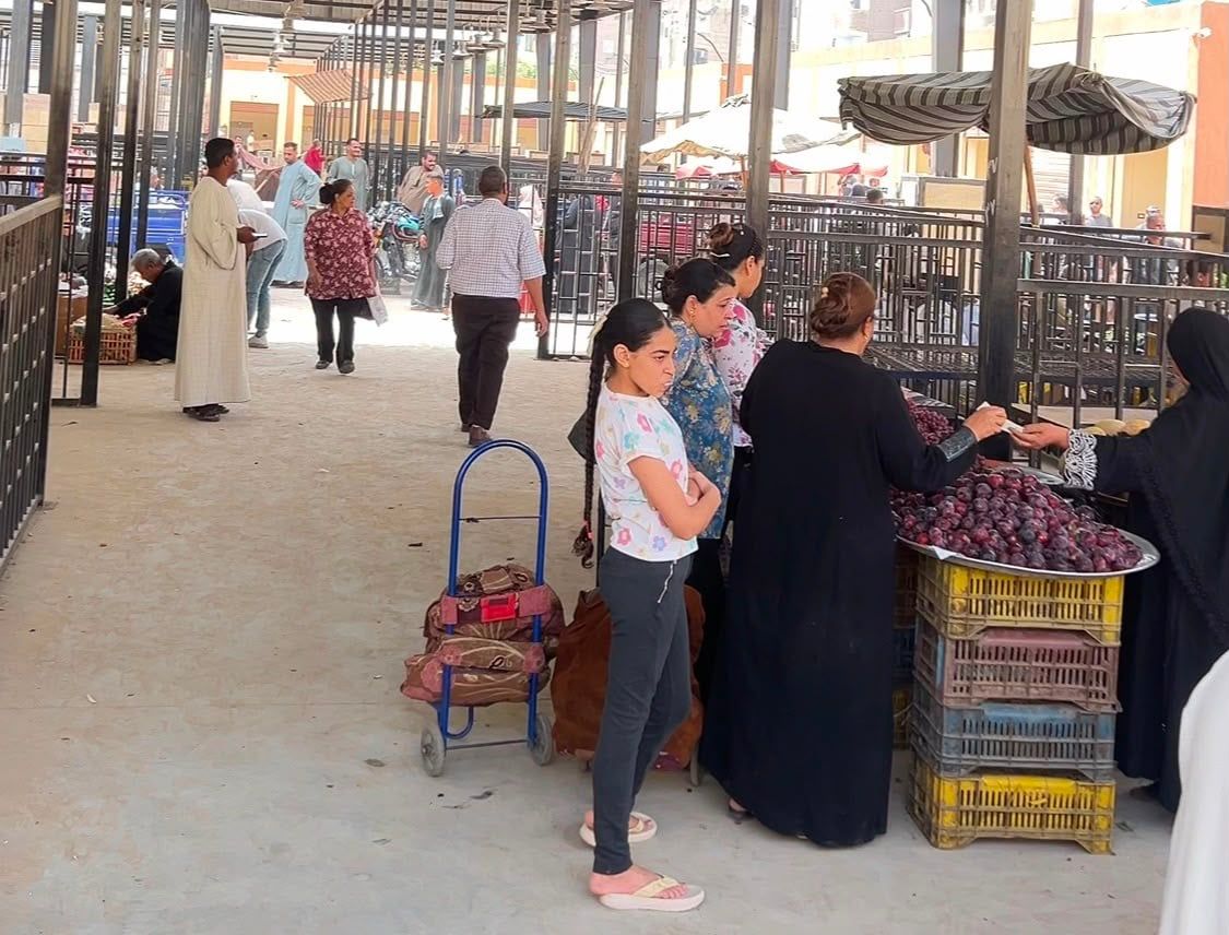 السوق الحضاري بنجع حمادي السوق الحضاري بنجع حمادي