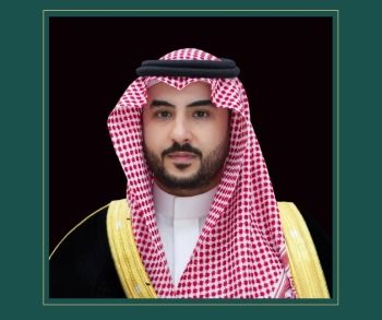 وزير الدفاع يبحث مجالات التعاون العسكرية مع نظيرته الجنوب أفريقية