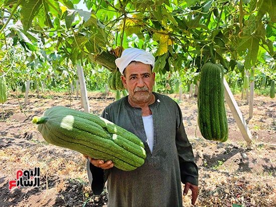 اللوف-يزين-الغيطان