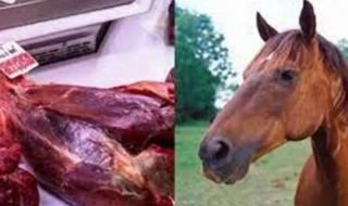 القبض على جزارين يذبحان الأحصنة في المنوفية.. والمتهمان يؤكدا "لحمها حلال وطعمه حلو"
