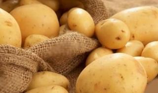 السلطات الأميركية تدرس تغيير تصنيف البطاطا من خُضر إلى حبوب