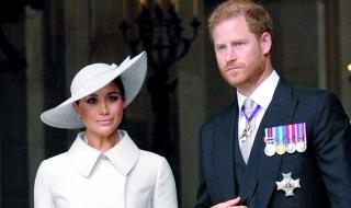 الأمير هاري وزوجته يأملان العودة إلى الملكية