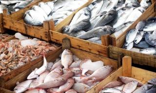 اختلالات توزيع السمك بتارودانت تفجر غضب متتبعين وغيورين على الشأن المحلي
