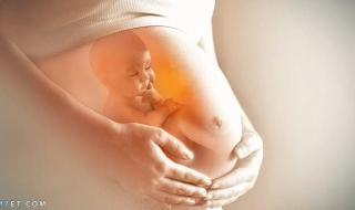 الحمل في الشهر الخامس للبكر وطرق التغلب على صعوبات الحمل