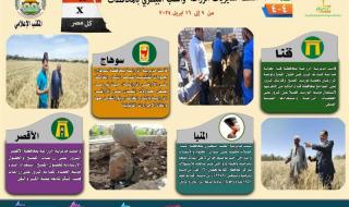 انفوجراف | ”الزراعة في كل مصر” العدد رقماليوم الثلاثاء، 16 أبريل 2024 02:00 مـ   منذ 30 دقيقة