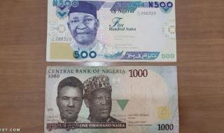 ما هي العملة التي تستخدم في نيجيريا