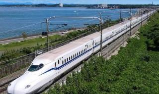 ثعبان يعطّل حركة قطار فائق السرعة في اليابان