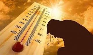 الأرصاد» عن طقس غد الخميس: أجواء حارة ونشاط للرياح بهذه المناطقاليوم الأربعاء، 17 أبريل 2024 05:54 مـ   منذ 29 دقيقة
