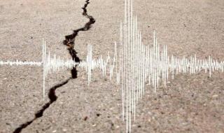 زلزال بقوة 4.9 درجات يضرب غرب المكسيك