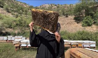 ريف السعودية: 140 مليون ريال دعم قطاع العسل وتحقيق 3 آلاف طن