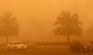 مصر.. الأرصاد الجوية تحذر من الذباب الصحراوي المرافق لرياح الخماسين