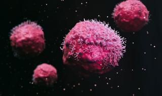 رائحة الفاكهة الناضجة قد توقف نمو الخلايا السرطانية