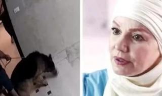 تفاصيل استغاثة مشيرة إسماعيل بسبب مستشفى الكلاب في عمارتها