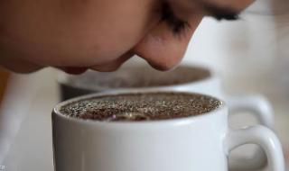 مفاجأة لعشاق القهوة.. نجاح زراعة البُن في مصر "بعد تجارب استمرت 40 عامًا"