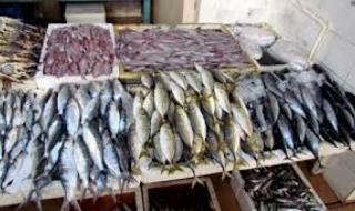 شعبة الأسماك بالغرف التجارية تعلن انخفاض الأسعار 30 %اليوم الخميس، 25 أبريل 2024 05:59 مـ   منذ 24 دقيقة