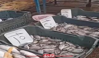بعد الأسماك.. رواد التواصل الاجتماعي يدشنون حملة لمقاطعة سلعة غذائية جديدةاليوم الجمعة، 26 أبريل 2024 09:45 مـ