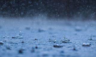 "الأرصاد" يُنبِّه 12 منطقة: أمطار متوسطة إلى غزيرة وسيول وأتربة مثارة