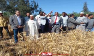 نائب محافظ البحيرة تتابع حصاد محصول القمح بقرية نديبةاليوم الإثنين، 29 أبريل 2024 06:01 مـ