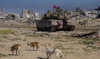 مستوطنون يعتدون على جنود إسرائيليين باستخدام الكلاب في الخليل